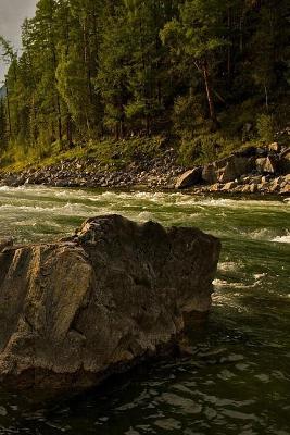 Fast Creek