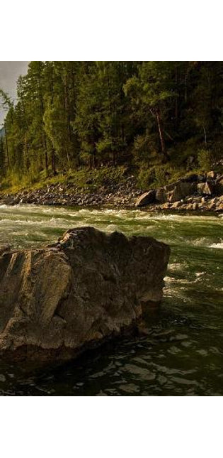 Fast Creek