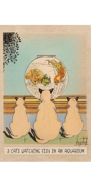 Three Cats Watching Fish in an Aquarium
