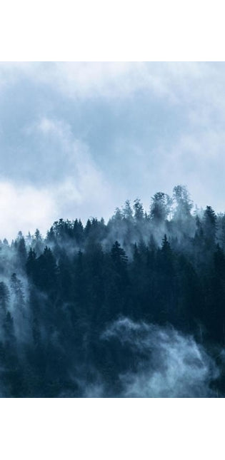 Foggy Mountain Morning