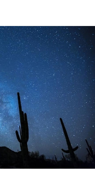 Milky Way with Cactus