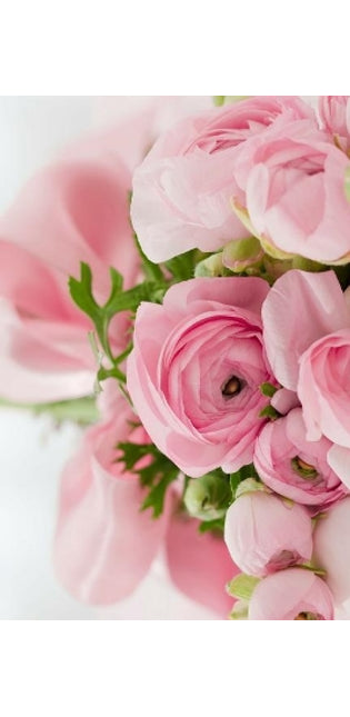 Pink Roses