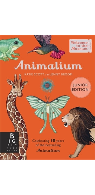 Animalium (Junior Edition)
