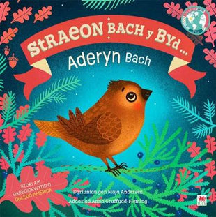 Aderyn Bach / Little Bird (Cyfres Straeon Bach y Byd)
