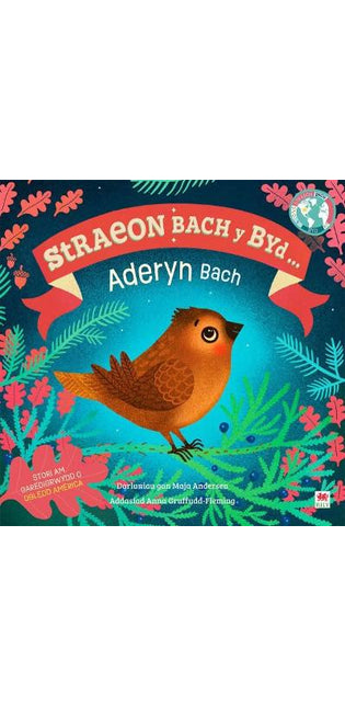 Aderyn Bach / Little Bird (Cyfres Straeon Bach y Byd)