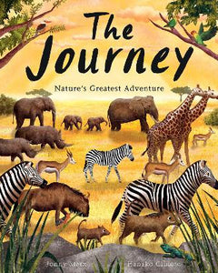 Stories, stories and more stories!