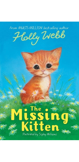 Missing Kitten