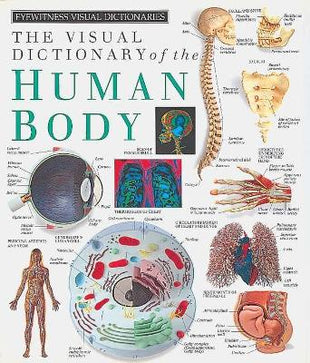 Eyewitness Visual Dictionaries: The Visual Dictionary of the Human Body