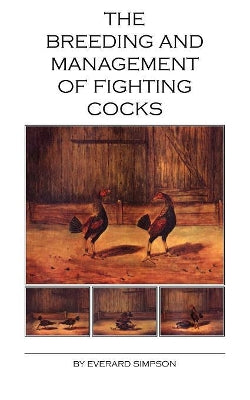Breeding and Management of Fighting Cocks