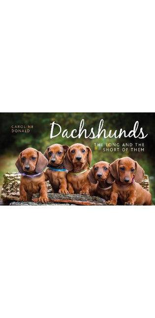 Dachshunds