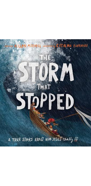 The Storm That Stopped Storybook