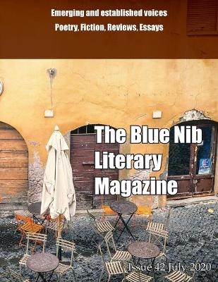 Blue Nib Literary Magazine