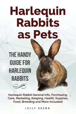 Harlequin Rabbits as Pets