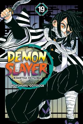 Demon Slayer: Kimetsu no Yaiba, Vol. 19 – Exclusive Books Online