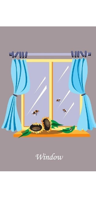 Window