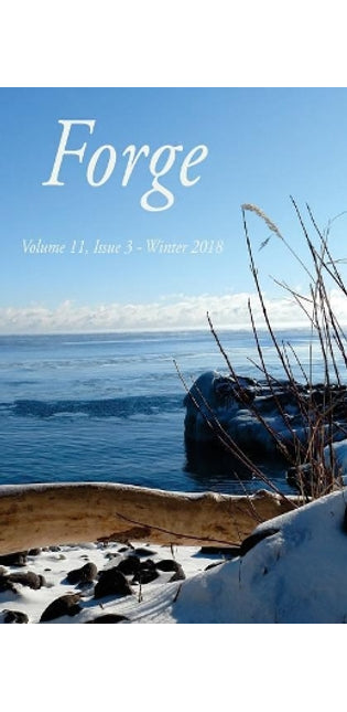 Forge 11.3