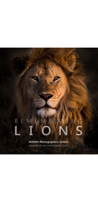 Remembering Lions