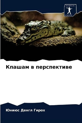 Кпашам в перспективе