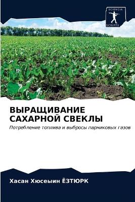 ВЫРАЩИВАНИЕ САХАРНОЙ СВЕКЛЫ