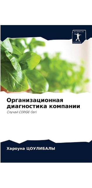 Организационная диагностика компании