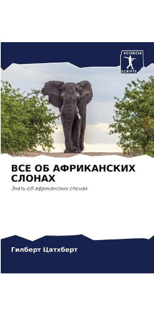 ВСЕ ОБ АФРИКАНСКИХ СЛОНАХ