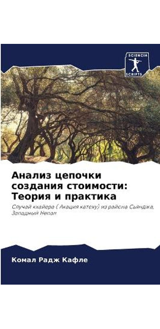 Анализ цепочки создания стоимости